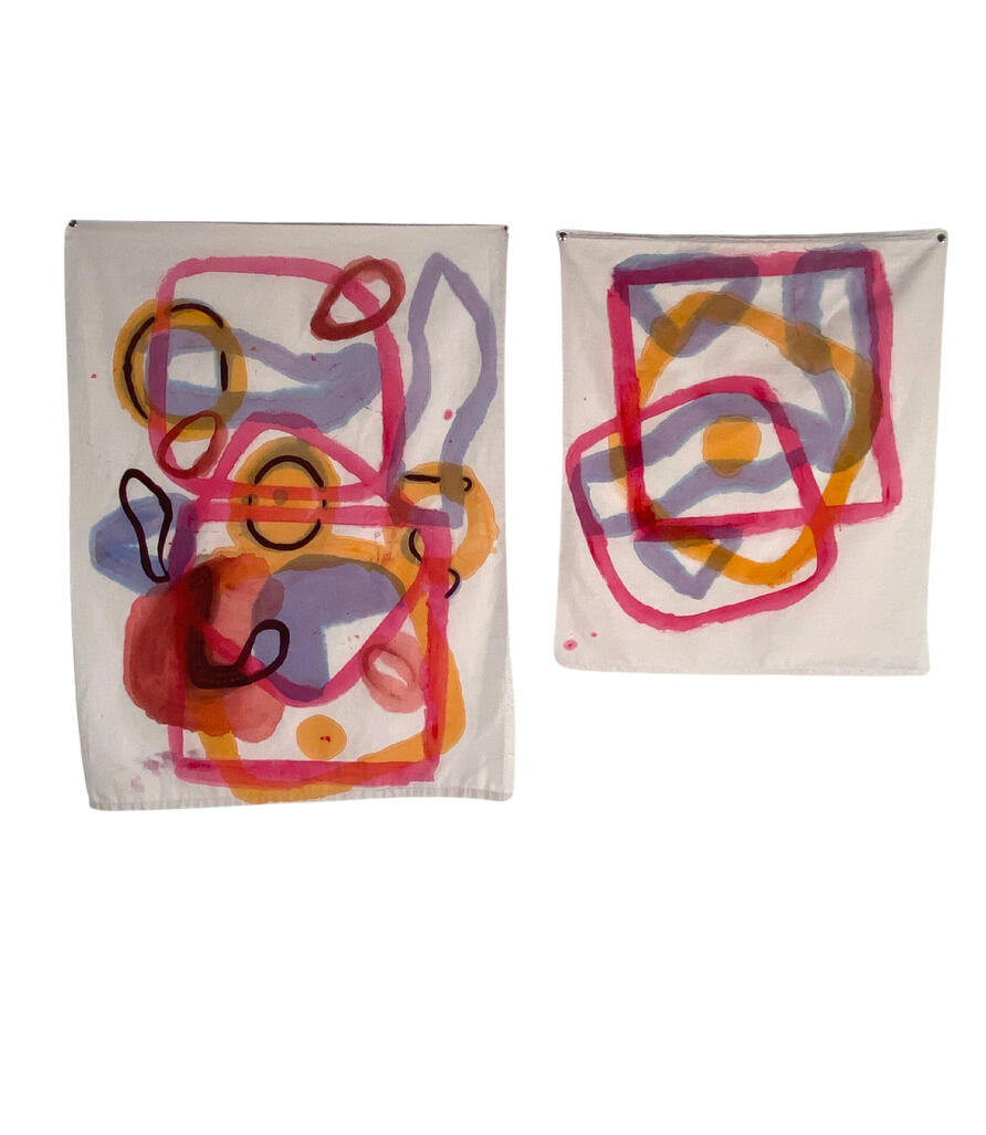 reimagined pedagogical landscapes